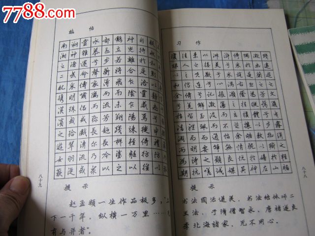 诗词钢笔字帖(全国钢笔书法字帖大赛最佳字帖一等奖,得主华继善编著