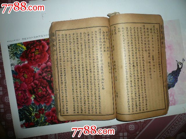 医学南针续集(100230)图片