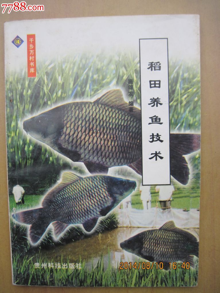 稻田养鱼技术