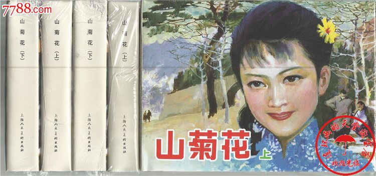 上美大精-山菊花(上下-缺货