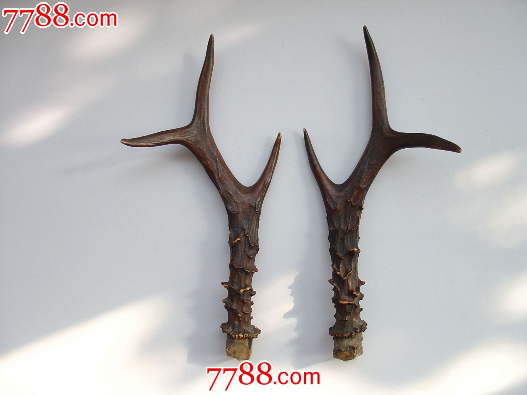 老刀架用鹿角-其他收藏品--se25479770-零售-七七八八古董网