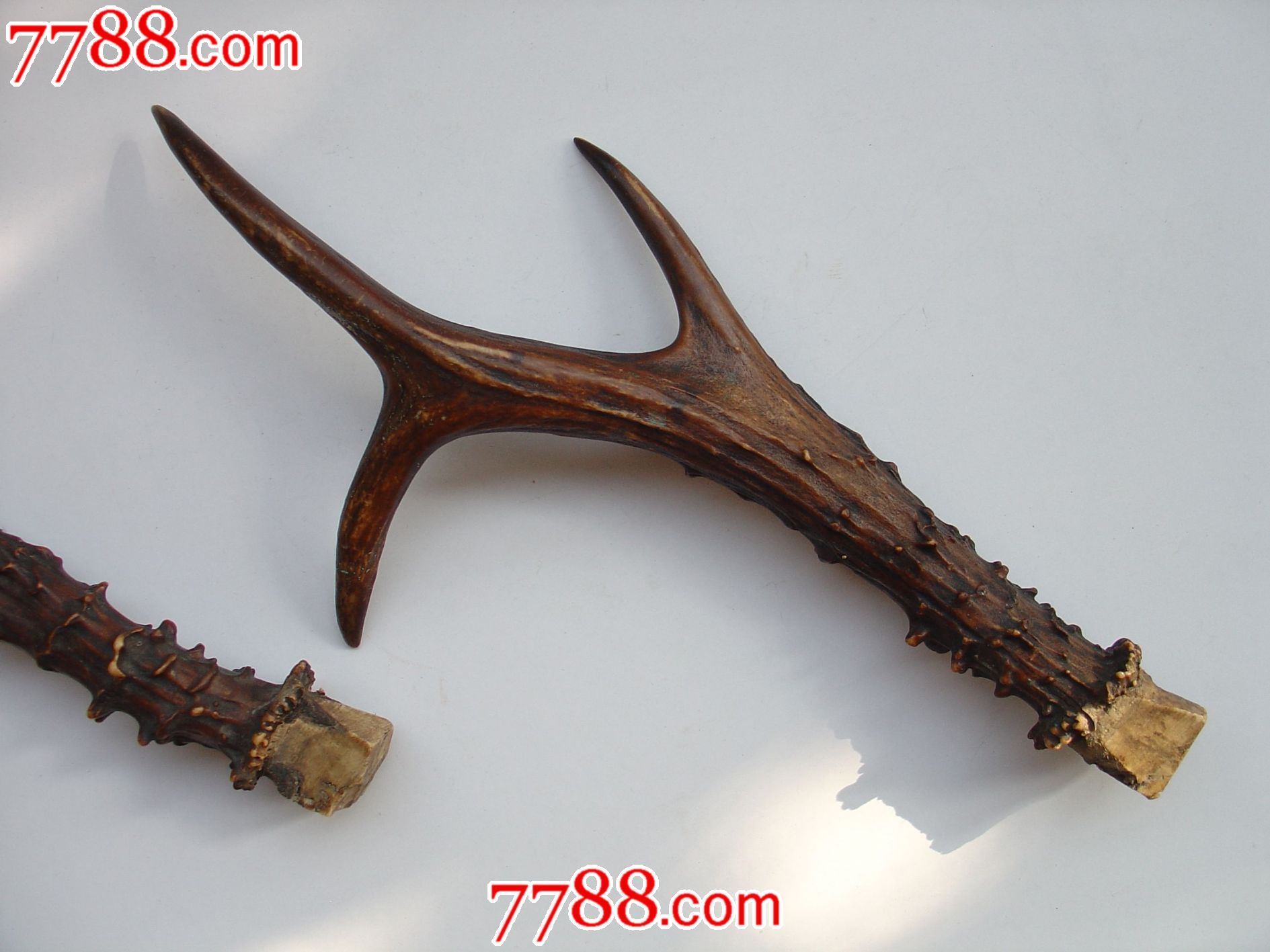 老刀架用鹿角-其他收藏品--se25479770-零售-七七八八古董网