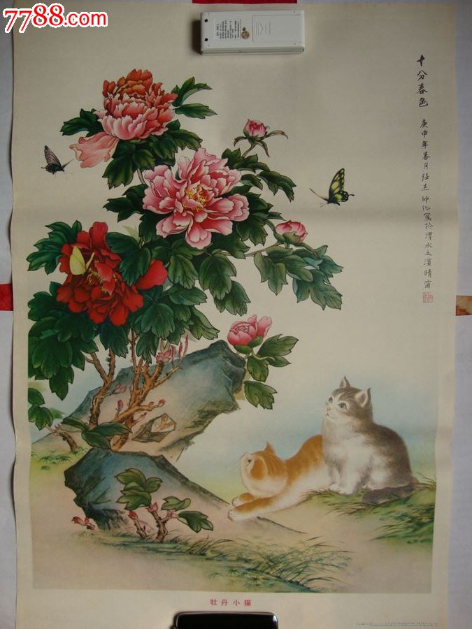 中国国画小猫画法图片展示