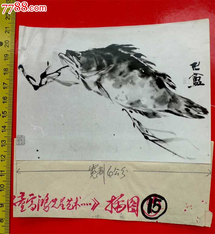 画家童雪鸿的发表的照片