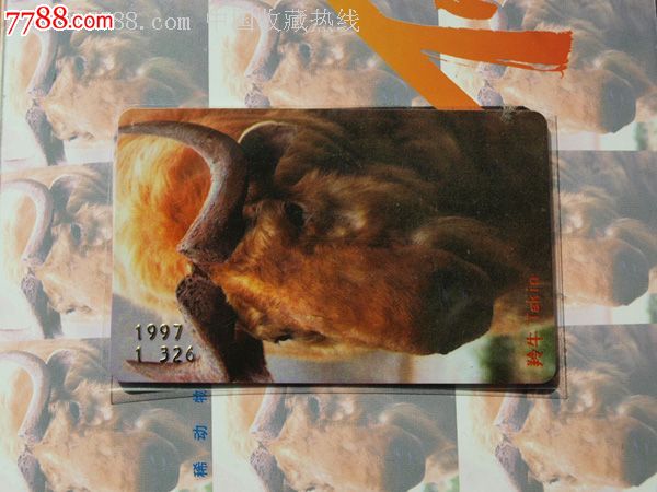 97珍惜动物系列磁卡-上海动物园门票卡贵宾卡