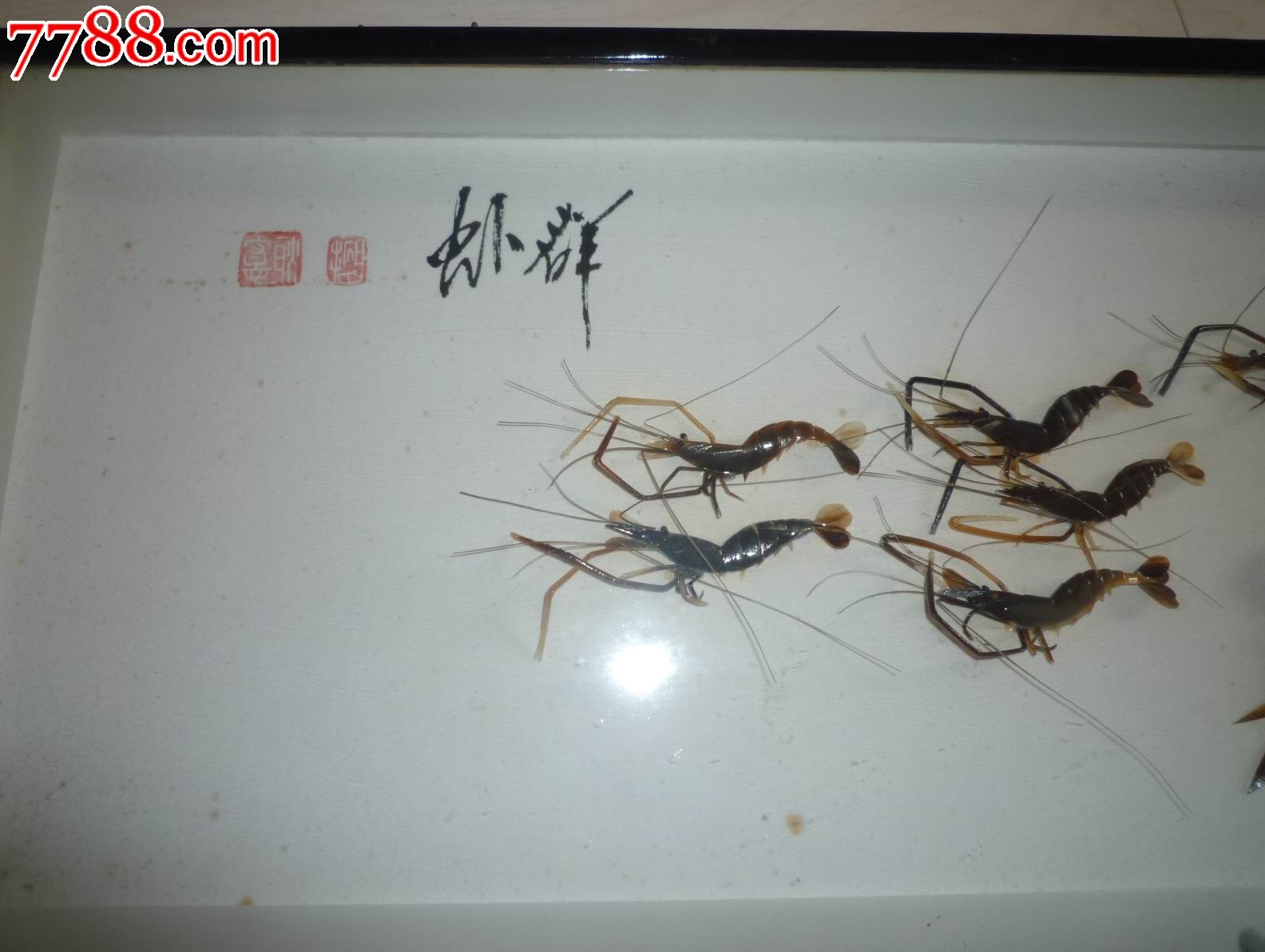 群虾贝雕-价格:268元-se17941597-贝雕画-零售-中国收藏热线
