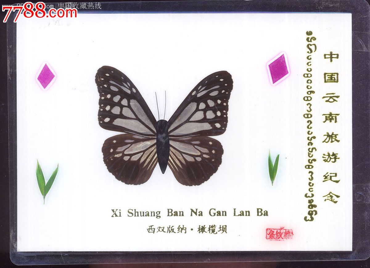 小华,小明采集植物标本和昆虫标本80件,65%是植物标本,昆虫标本有多少