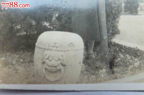 民国石墩美女美女舔泰迪抱树价格照(少)-虎头:20元-se20图片
