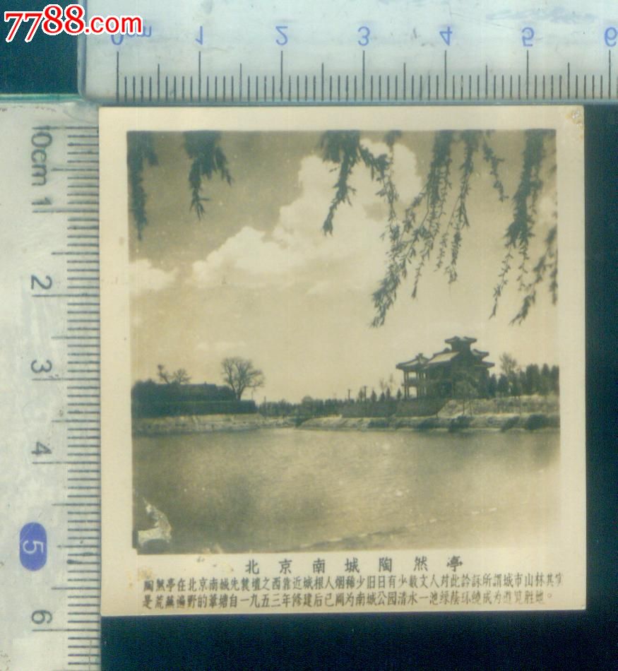 北京南城陶然亭-价格:5元-se20301583-老照片-零售