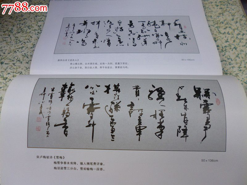 孙善民书法集-中国书画作品精粹与欣赏-(第二集)