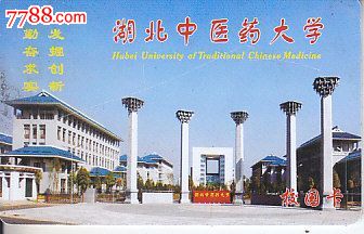 湖北中医药大学