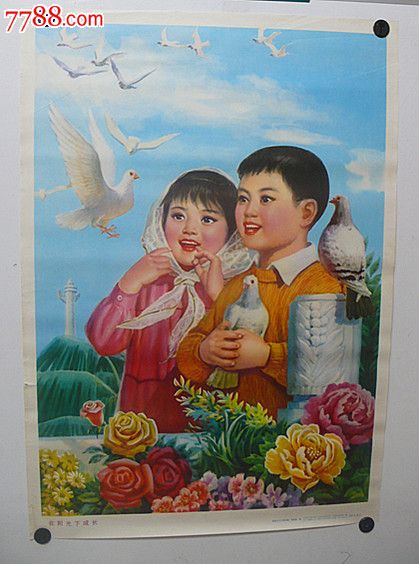 在阳光下成长