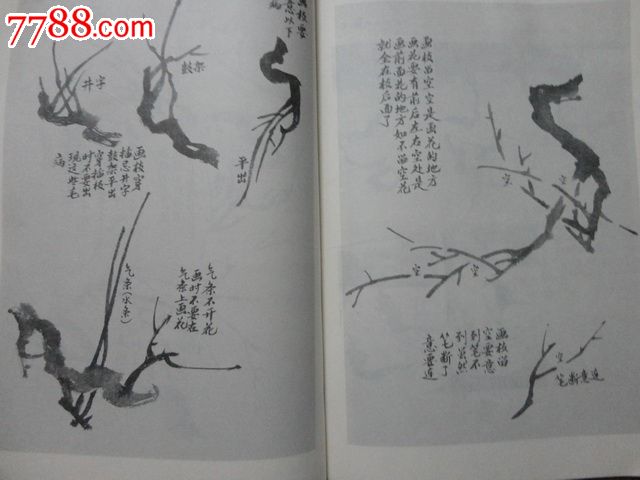 醉墨轩画谱 平安保险画谱