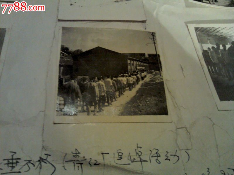 追掉大会议式