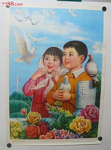 在阳光下成长