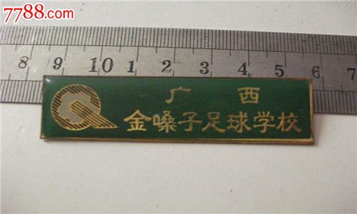 校徽-广西金嗓子足球学校_校徽\/毕业章_半山藏