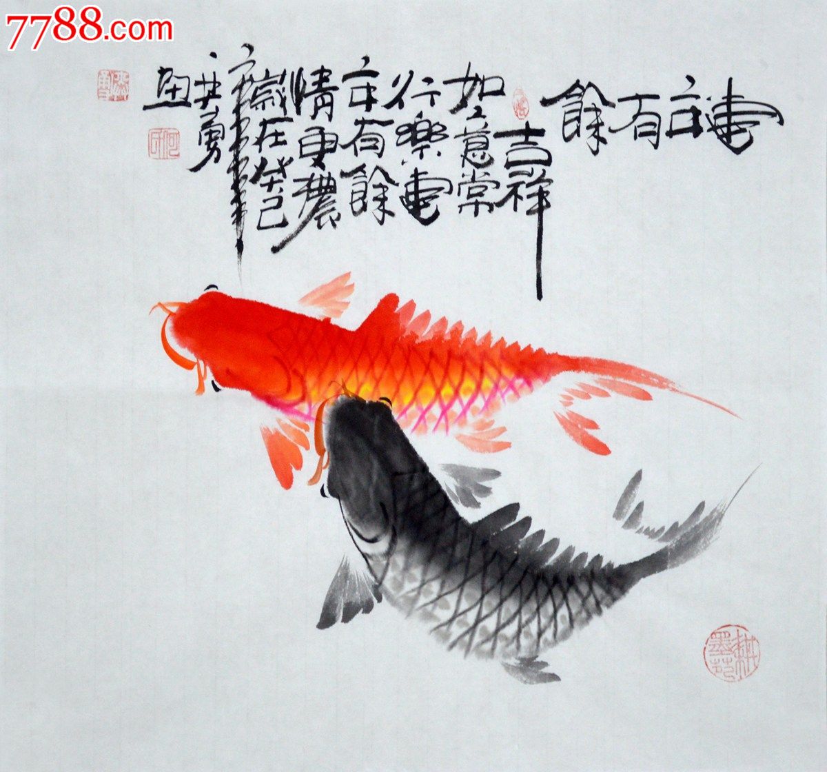 三尺斗方国画鲤鱼图《连年有余》hn1475-se22673443-七七八八花鸟画收藏