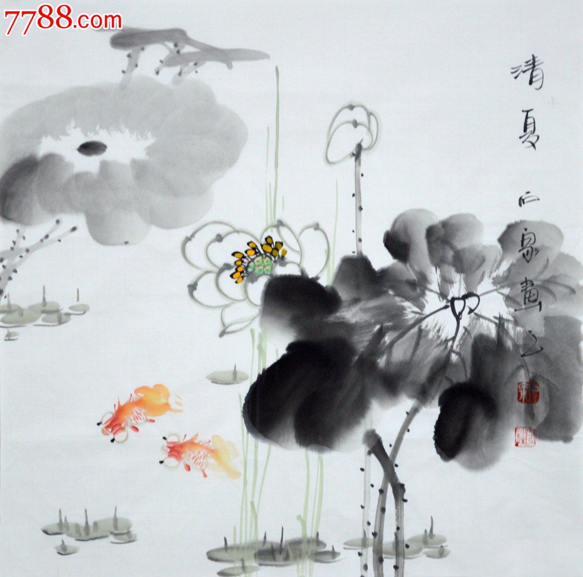 石泉三尺斗方写意花鸟画荷花《清夏》hn1476
