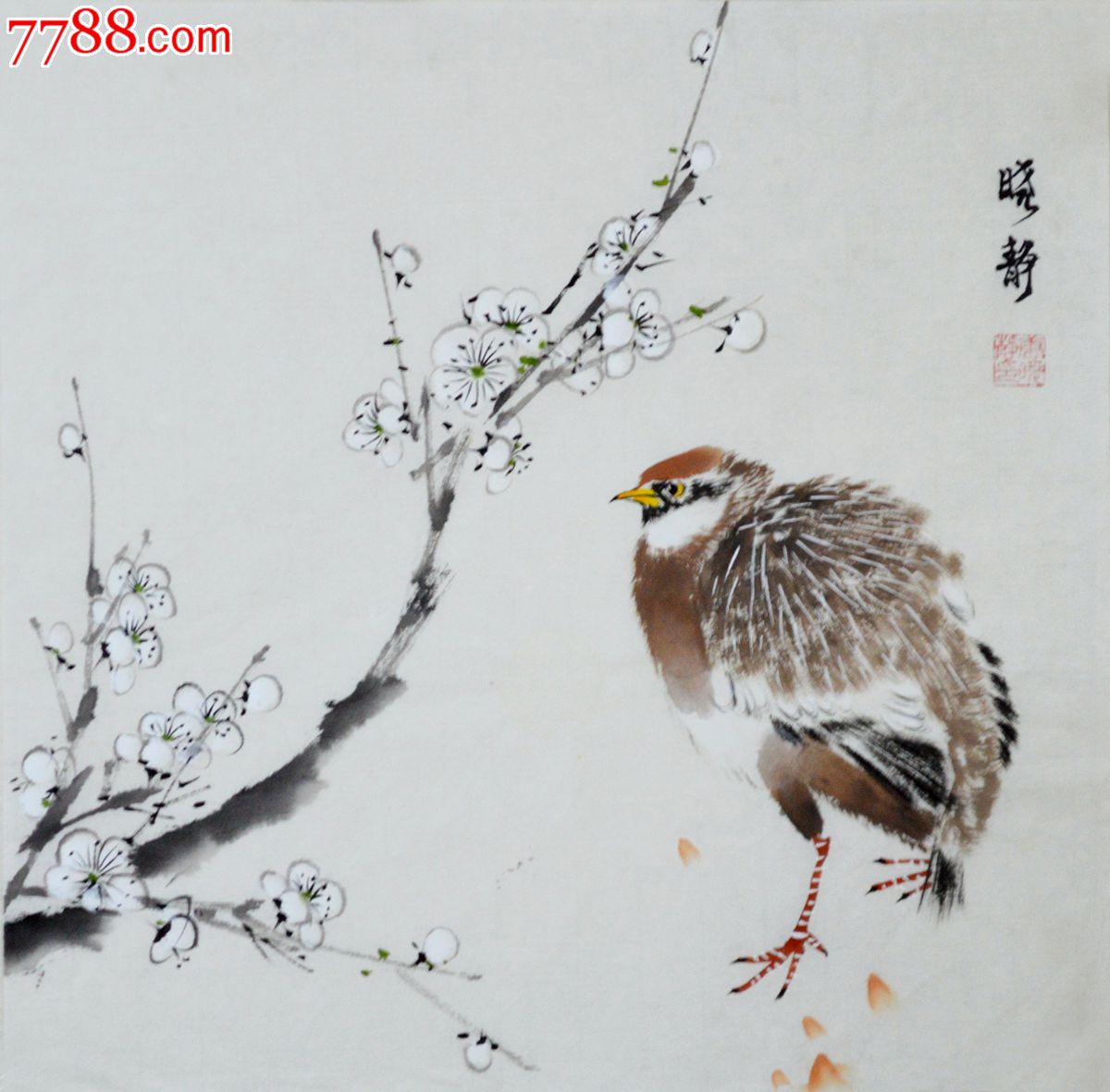 小品花鸟画鹌鹑