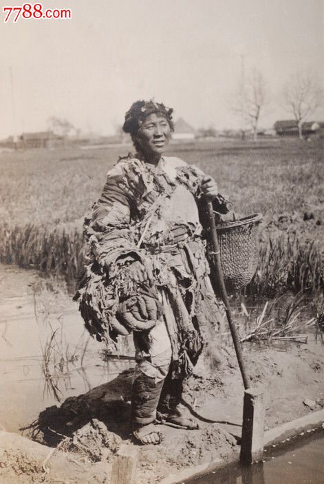 民国在稻田里穿破衣服的女乞丐原版老照片相片