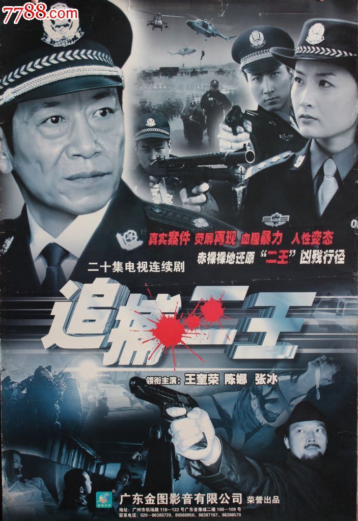 追捕二王20集碟vcd电视连续剧