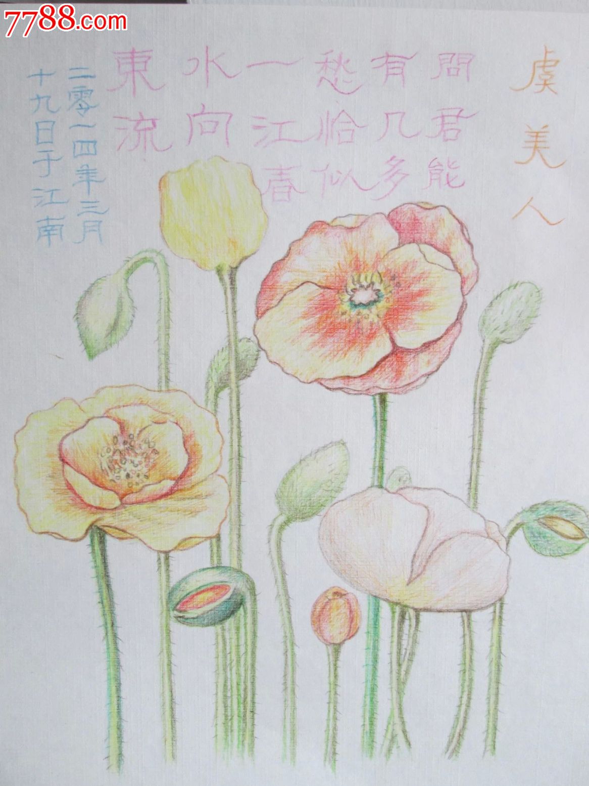 素描彩色铅笔画原作8k_价格元_第1张_中国收藏热线