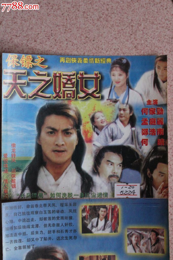 保镖之天之娇女20集碟vcd古装电视连续剧完整版