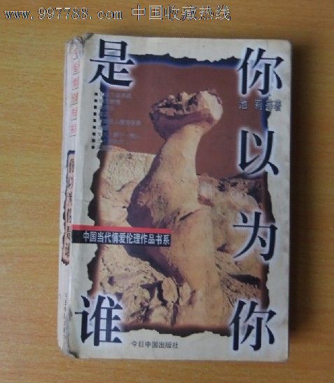 中国当代情爱伦理作品书系《你以为你是谁》