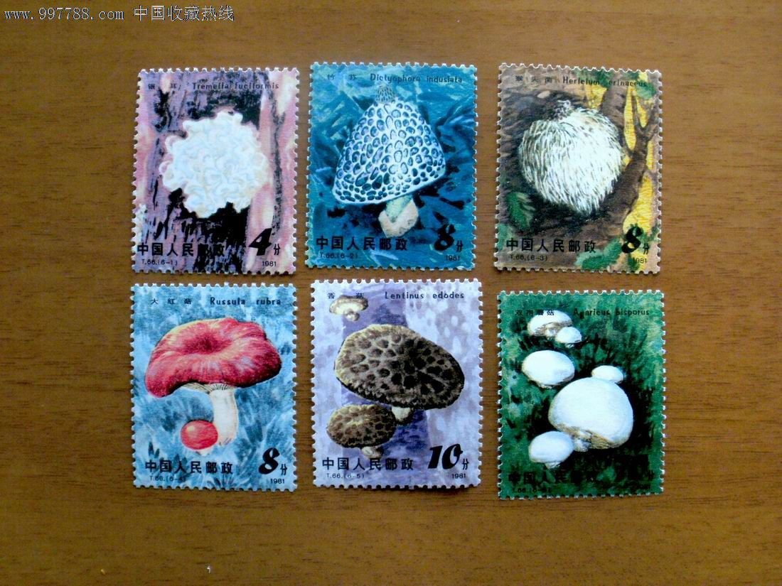 t66食用菌邮票1套