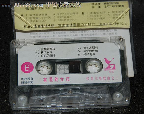 张蔷《害羞的女孩》