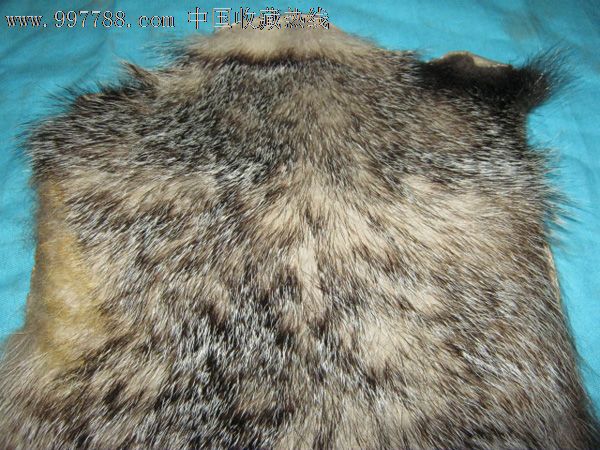 东北老皮草**獾皮**,老真皮真毛,老民俗收藏