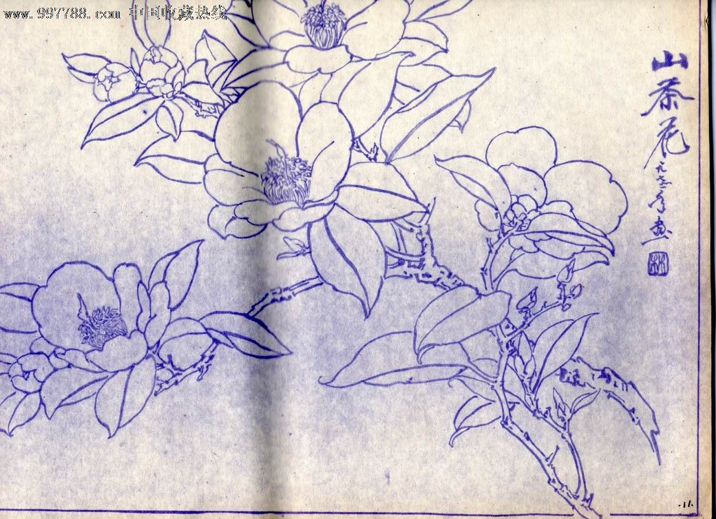 工艺美术参考资料--白描花卉