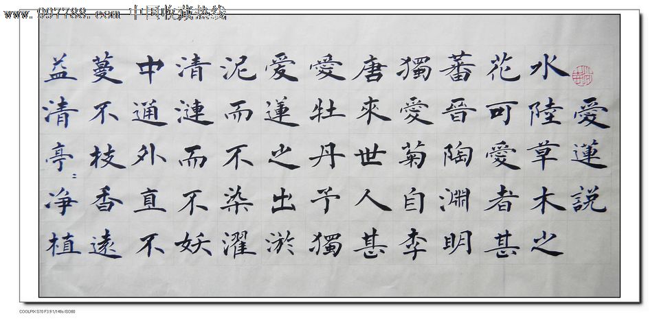 臧远科456楷书爱莲说