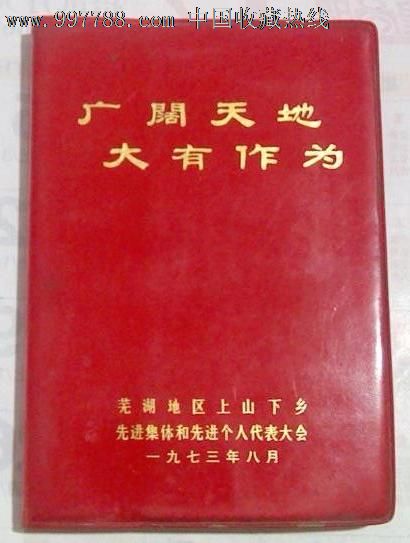 老日记本《广阔天地大有作为(空白本,张思德彩色插图和毛语录多幅)