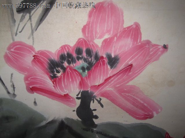 映日荷花别样红(1981年正月作,保老保真)