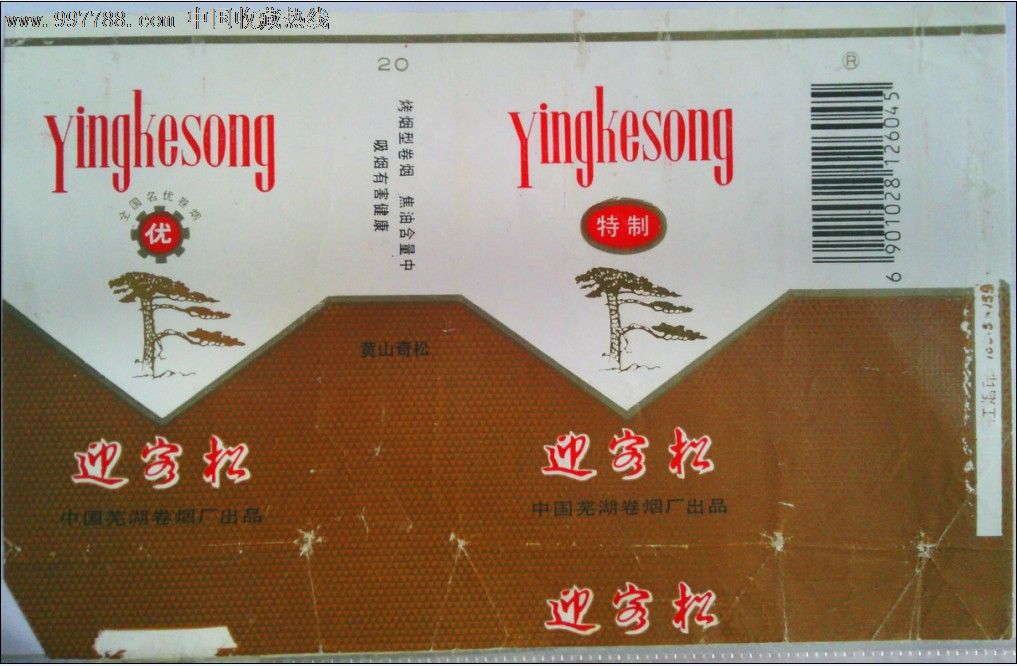 安徽标-迎客松2