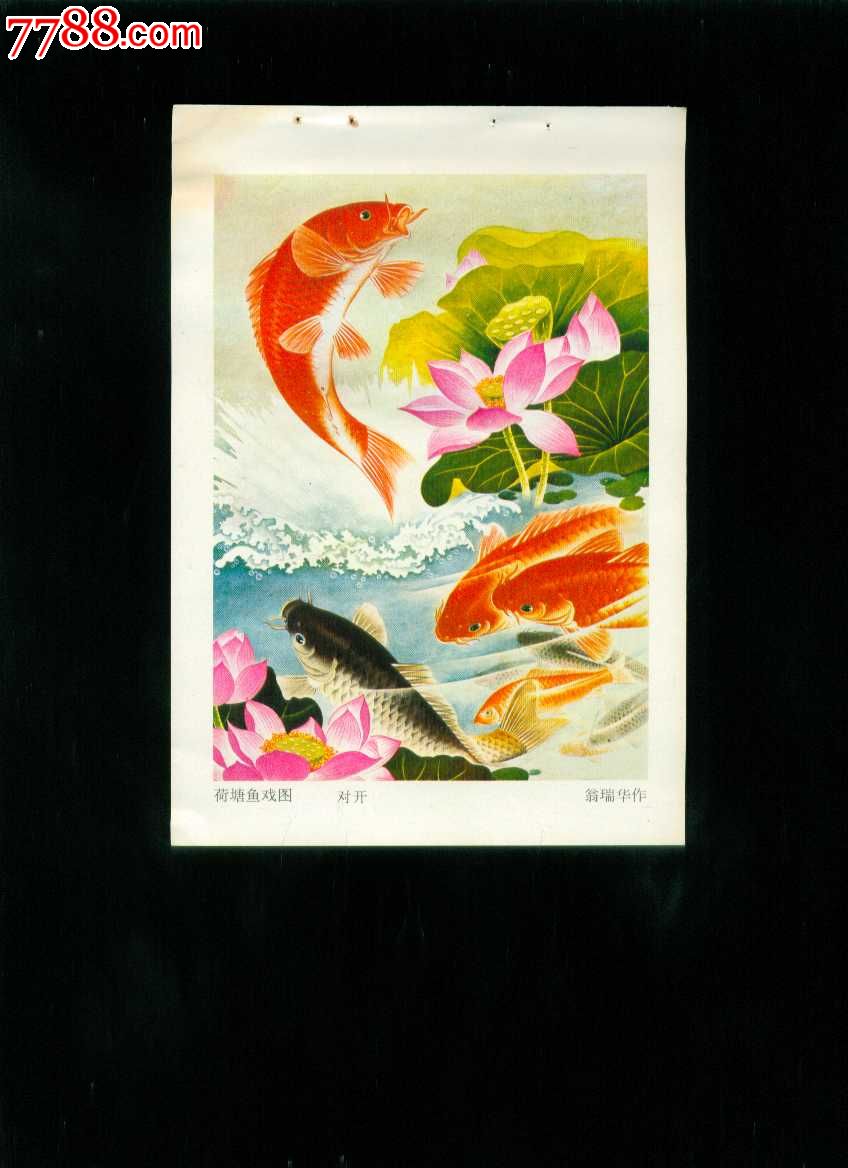 年画缩样:荷塘鱼戏图--翁瑞华作