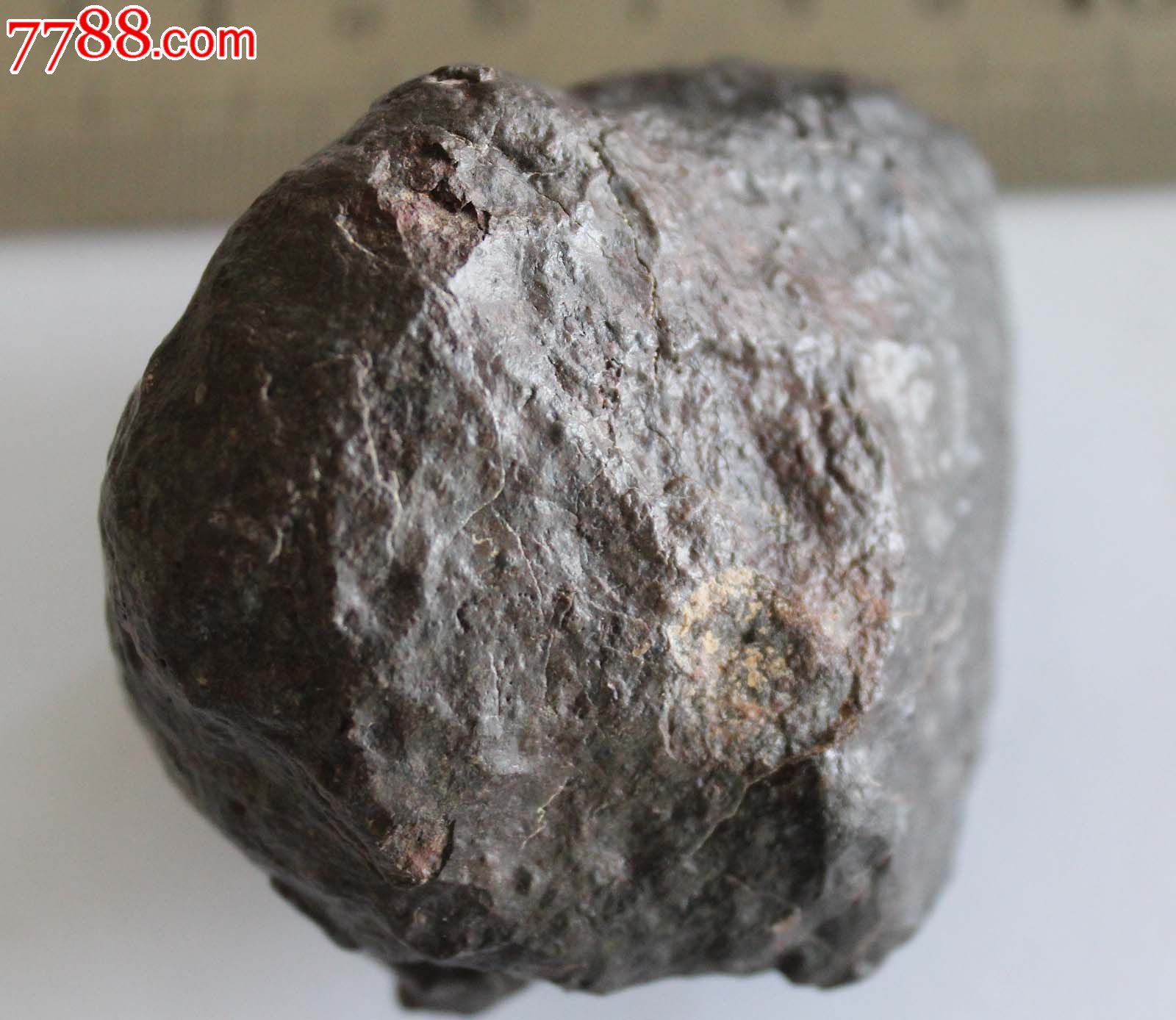 经典沙东球粒陨石215克