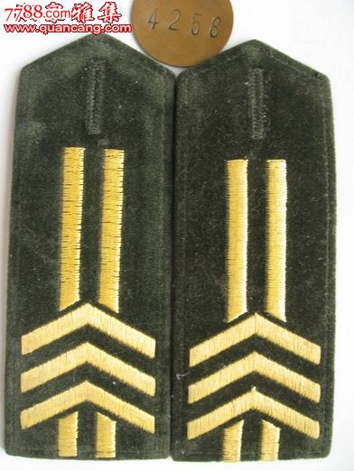 87式军需所陆*3级军士长肩章