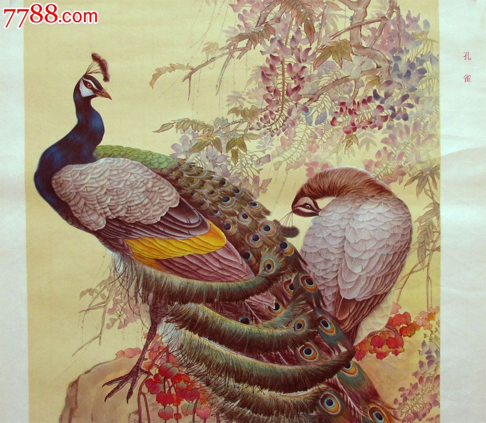 孔雀--1980年一版一印--王一鸣