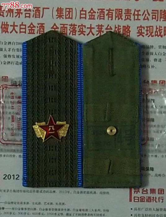 库存,退役解放军87文职硬肩章,空军