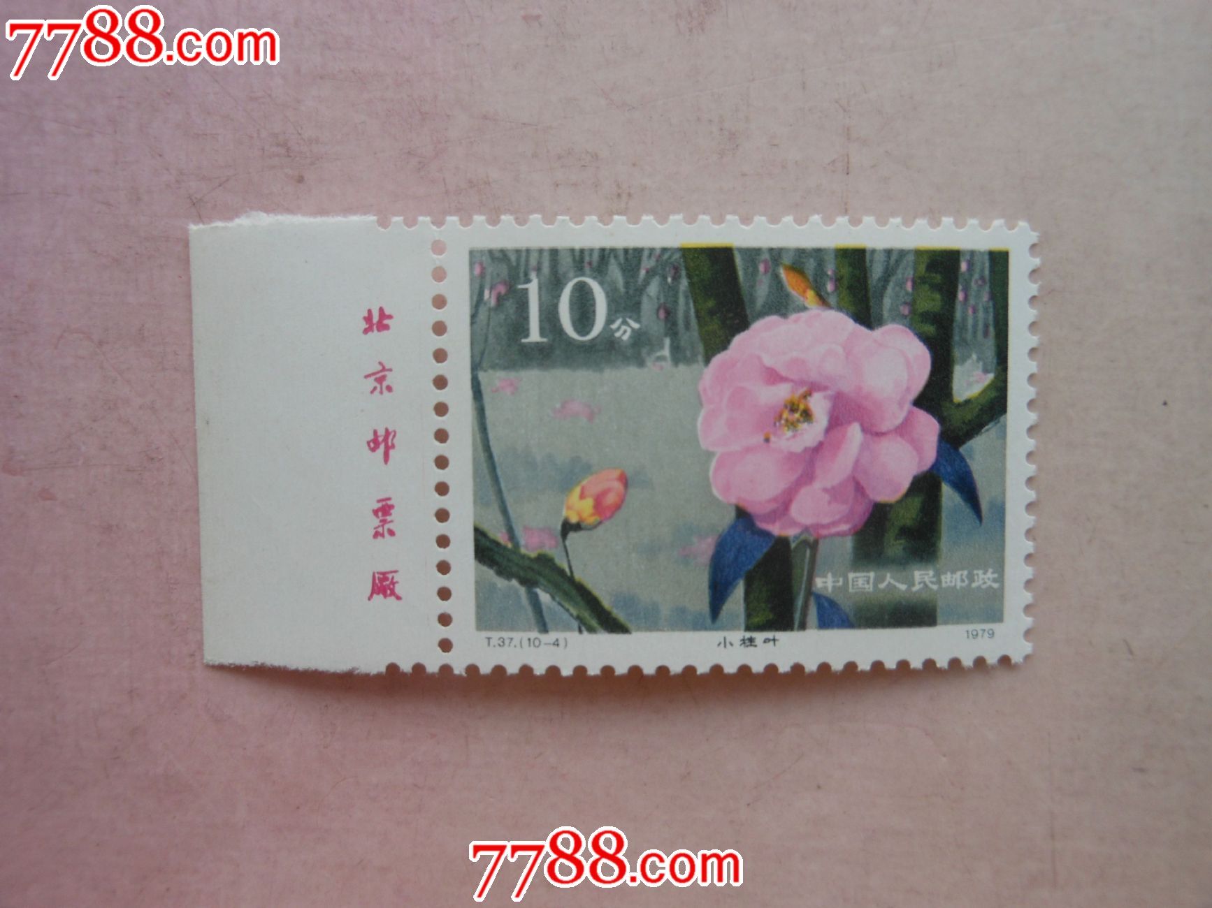 云南山茶花-价格:18元-se18009735-新中国邮票-零售-7788收藏__中国