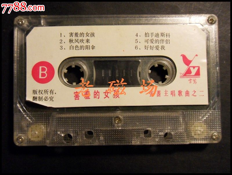 张蔷--害羞的女孩