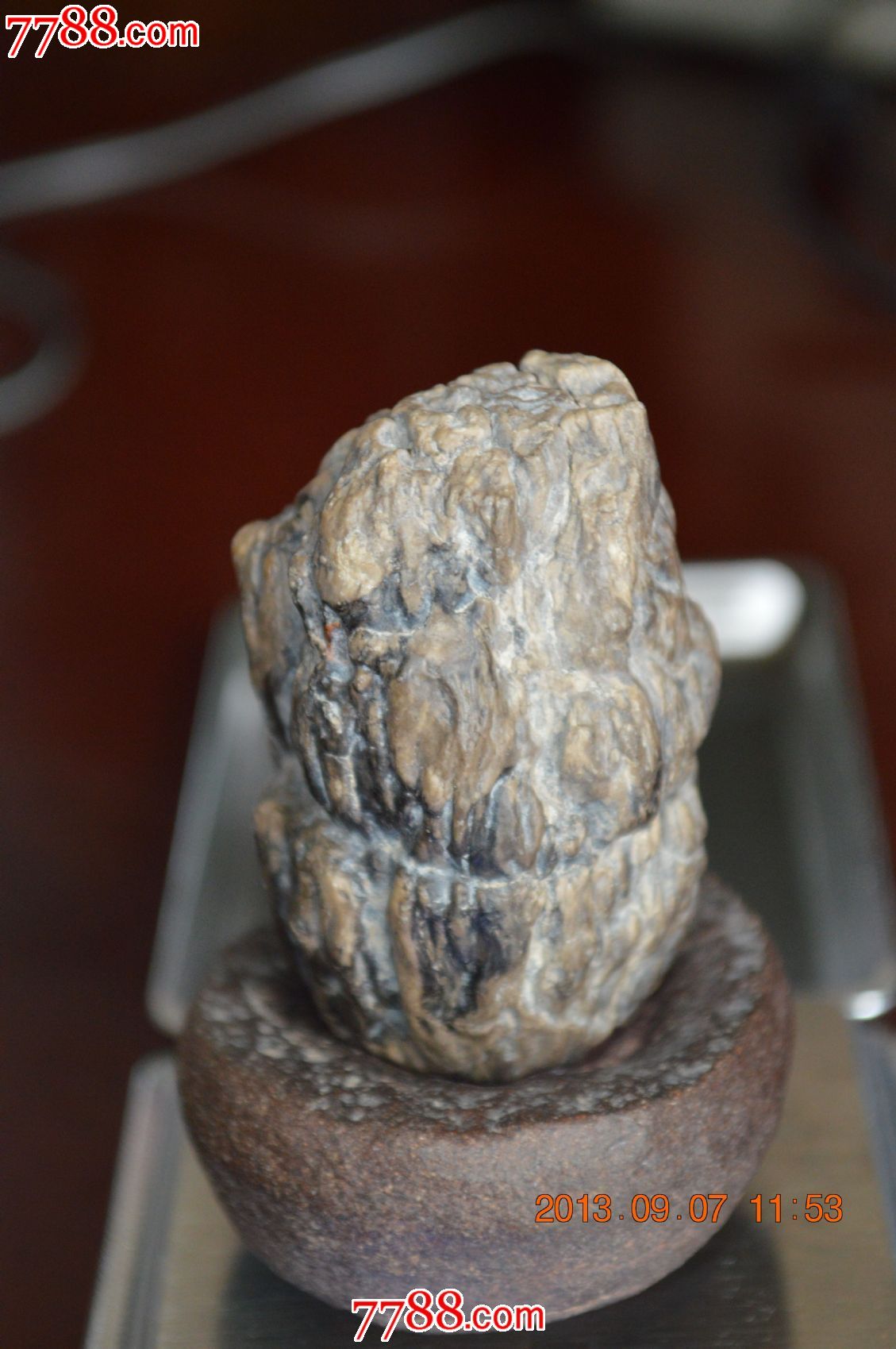 新疆硅化木摆件,底座为新疆火山岩原石,未经任何打磨_硅化木/木化石