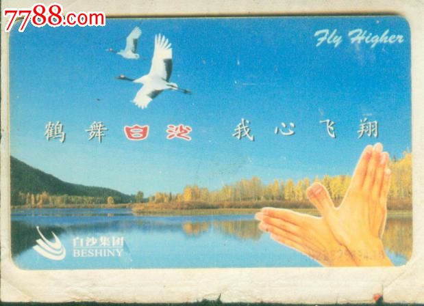 鹤舞白沙,我心飞翔