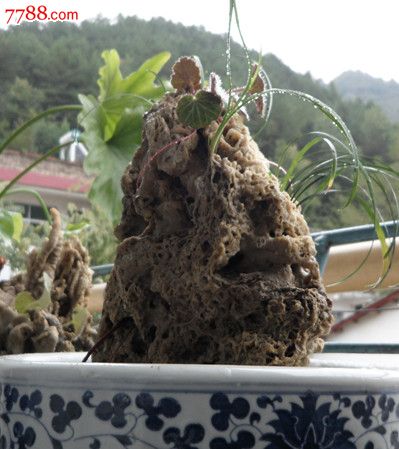 吸水石太古石水锈石盆景