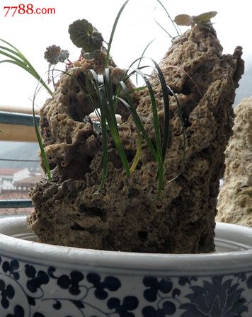 吸水石太古石水锈石盆景