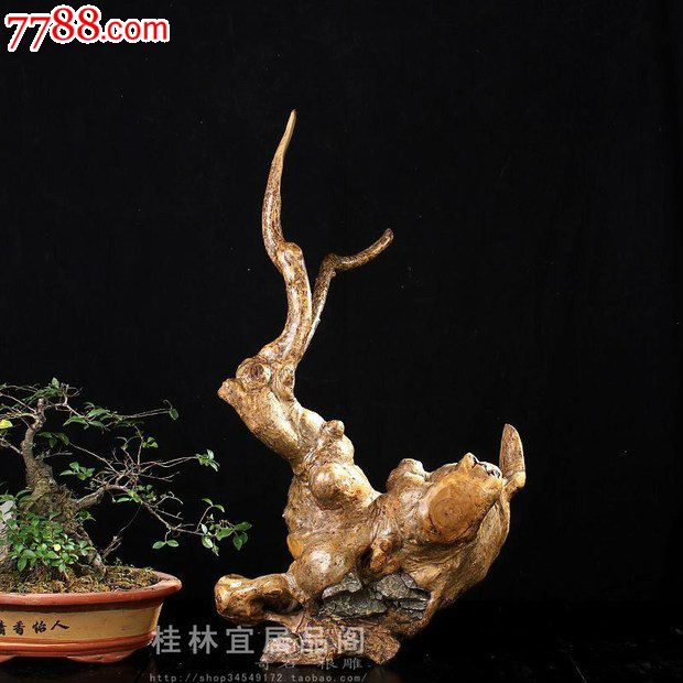 宜居品阁/天然根雕奇石/酸枣木根抱石生肖根艺摆件野兔yw459