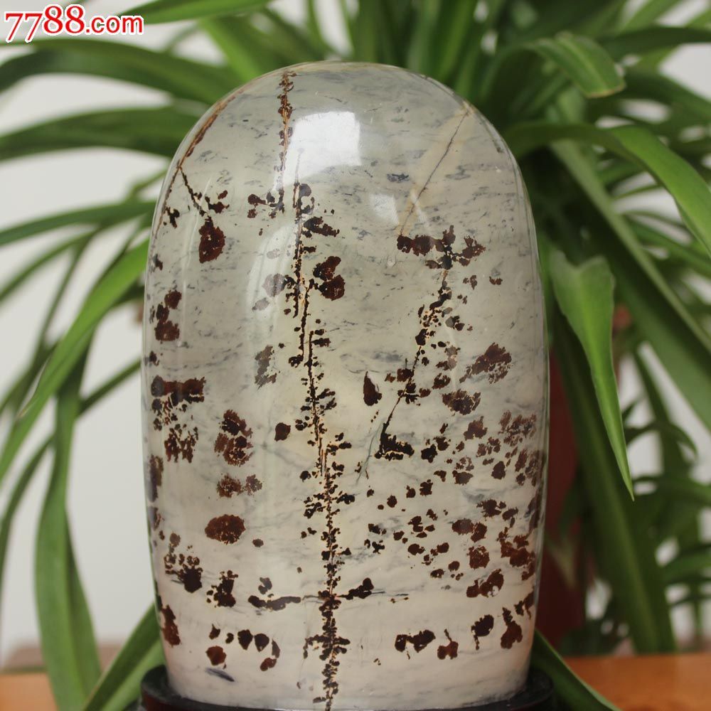 特价天然奇石草花石国画石奇石摆件办公桌摆件z255一脚定江山