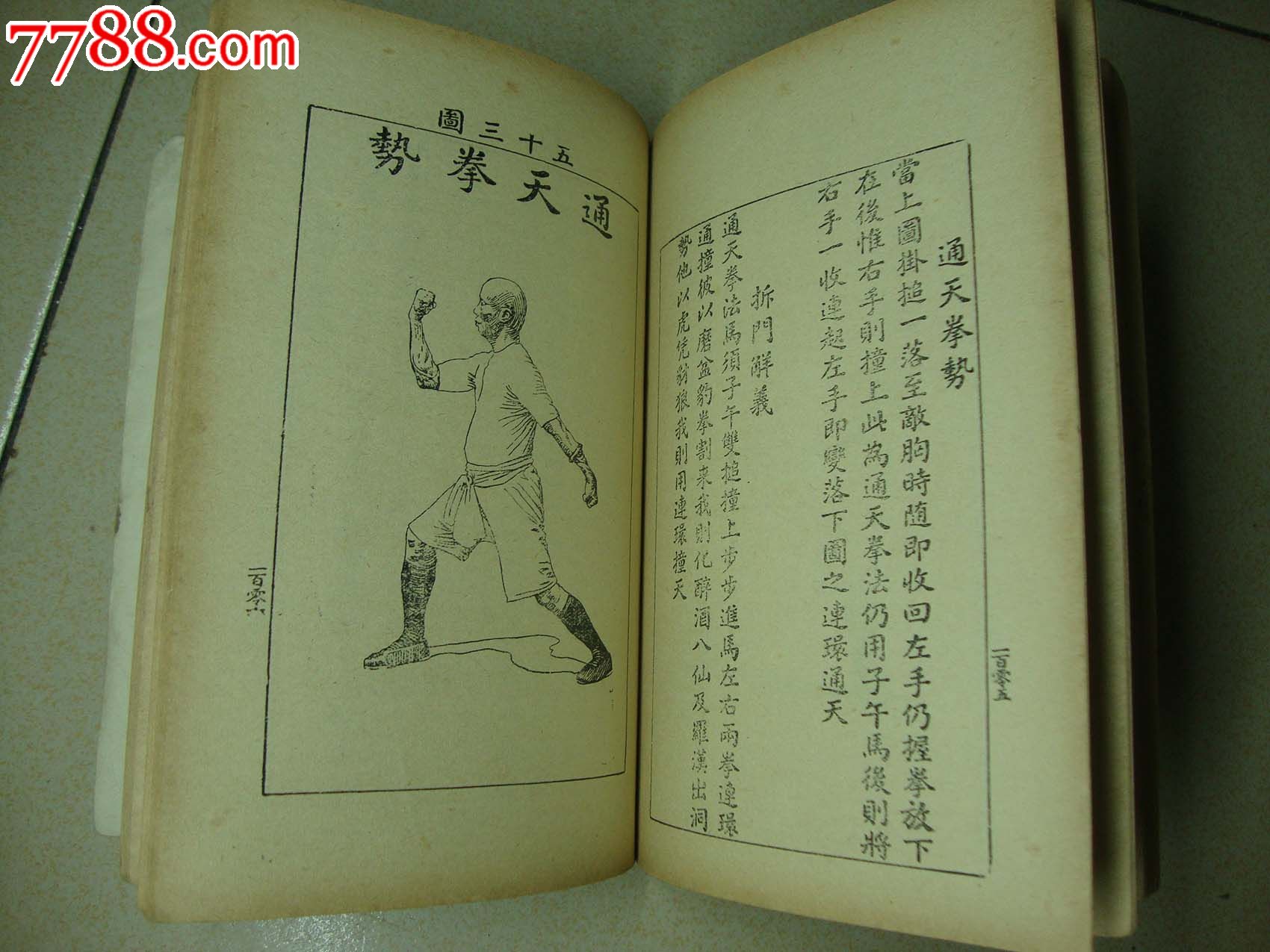 岭南拳术林世荣遗技/虎鹤双形